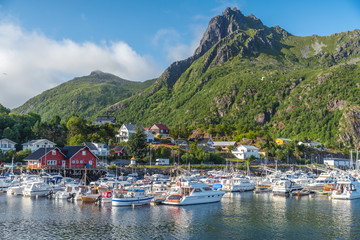 Wall Mural - View of the city of Svolvaer, Norway, Lofoten Islands, beautiful summer landscape, houses and yachts on a background of mountains