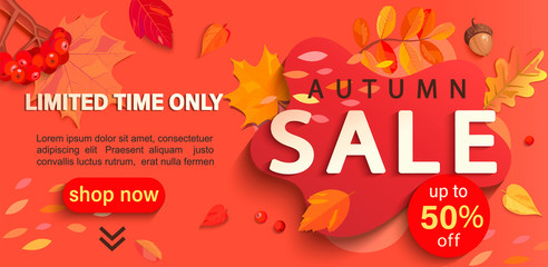 Wall Mural - Autumn sale banner with place for text, only limited time discounts. Fall leaves, rowan berries, acorns for seasonal shopping promotion, web, flyers. Template for cards, advertise.Vector illustration.