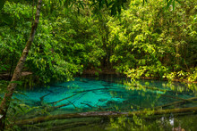 Emerald Pool (Sra Morakot) In Krabi Province, Thailand. Beautiful Nature Scene Of Crystal Clear Blue Water In Tropical Rainforest.