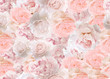 Roses seamless background. Tender pattern. Pink colors