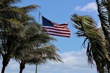 American Flag Flying Between 3 Palm Trees.