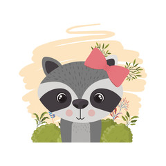 Sticker - cute and adorable raccoon with white background