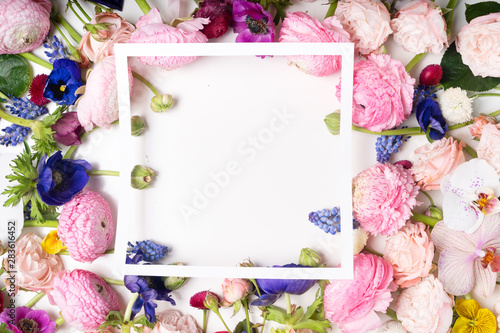 Ranunculus flat lay composition