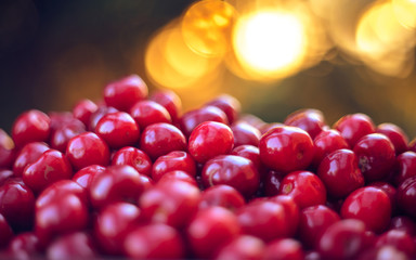 Wall Mural - Fresh sweet red cherry in a bowl. Ripe sweet cherry. Fresh berries. Harvest of sweet cherries. Ripe red cherry. Summer harvest in the garden.