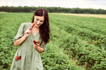 Wall Mural - A young beautiful woman in a field harvesting strawberries with a green basket in her hands