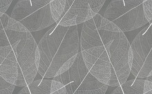 Gray Background With White Leaf Texture