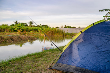 Wall Mural - Blue tent camping with fishing on swamp in countryside