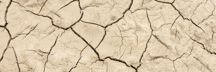 Wall Mural - Panoramic image of the dry earth. Global warming concept of cracked ground