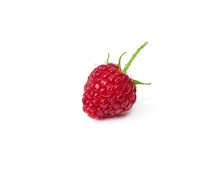 Sweet And Fresh Raspberries With A Prickly Root On A White Background With A Sunny Shadow. Summer Seasonal Berry.