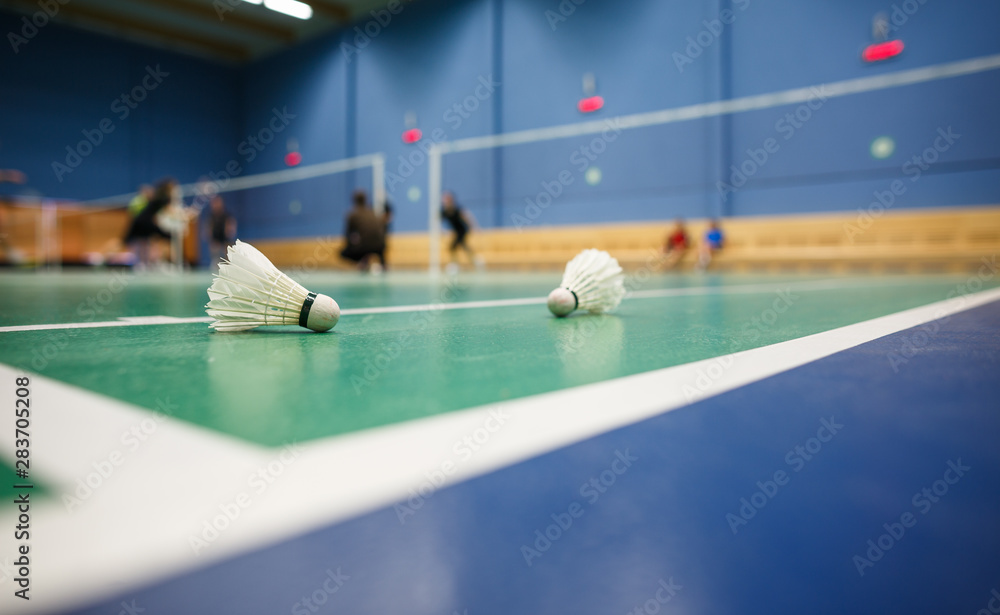 Badminton - badminton courts with players competing; shuttlecocks in the foreground (shallow DOF; color toned image). - obrazy, fototapety, plakaty 