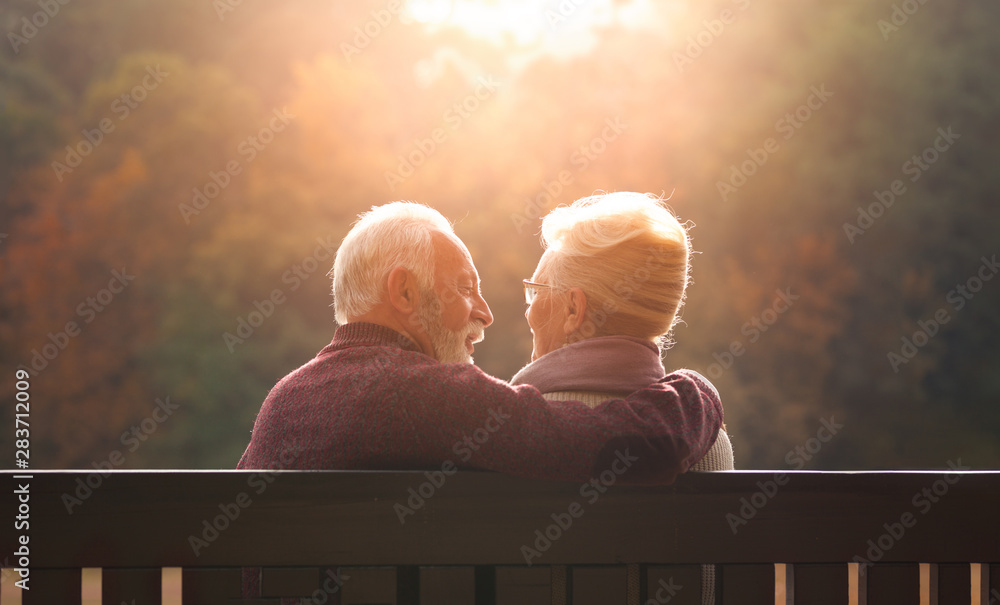 Senior couple sitting on bench in autumn park - obrazy, fototapety, plakaty 
