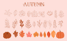 Autumn Collection Of Leaves, Branches And Pumpkins In One Line Style. Editable Vector Illustration