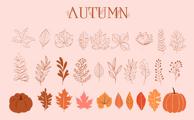 Autumn Collection of leaves, branches and pumpkins in one line style. Editable Vector illustration