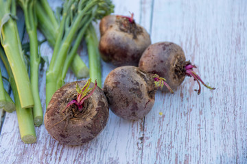 Fresh organic beetroot and broccolini on the rustic wooden table background. Cooking ingredients. Harvest.