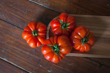 Wall Mural - tomatoes from the garden