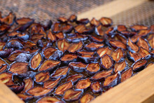 The Process Of Manufacturing Dried Plums On A Homemade Solar Dryer