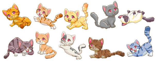 cat vector set graphic clipart design