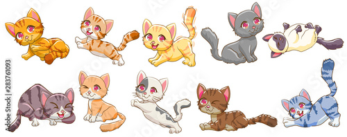 Cotton fabric cat vector set graphic clipart design
