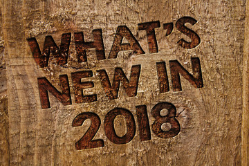 Word writing text What'S New In 2018. Business concept for Year resolution Goals Career achievements Technology Message banner wood information board post plywood natural brown art