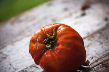 Wall Mural - red tomatoes