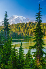 Overlooking a lake and a forest of pine trees with Mt. Rainier looming in the distance at Mt. Rainier National Park.