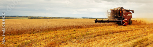 Cuadros en Lienzo Panoramic view at combine harvester working on a wheat field