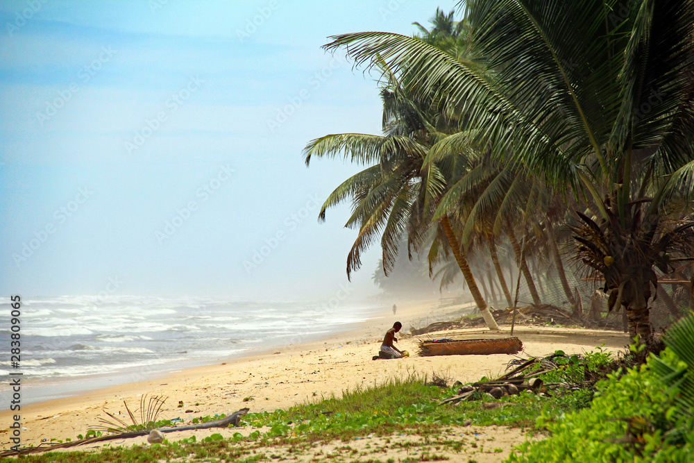 palm trees on the beach in Ghana - obrazy, fototapety, plakaty 