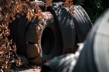 Wall Mural - recycling old car tires landfill rubber waste dump