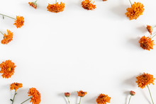 Autumn Flowers Composition. Frame Made Of Orange Flowers On White Background. Fall Concept. Autumn Background. Flat Lay, Top View, Copy Space