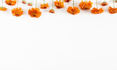 Wall Mural - Autumn flowers composition. Frame made of orange flowers on white background. Fall concept. Autumn background. Flat lay, top view, copy space