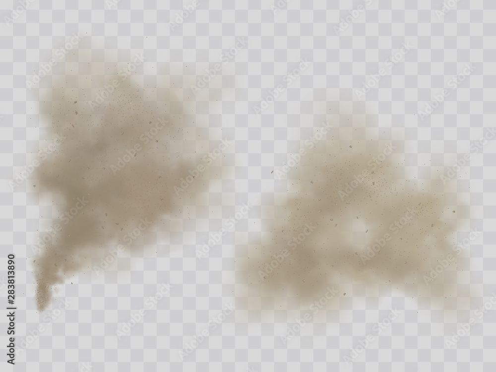 Clouds of smoke or dust with dirt microscopic particles 3d realistic vector illustration isolated on transparent background. House cleaning, environmental pollution, allergy concept design element - obrazy, fototapety, plakaty 
