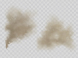Fototapeta  - Clouds of smoke or dust with dirt microscopic particles 3d realistic vector illustration isolated on transparent background. House cleaning, environmental pollution, allergy concept design element