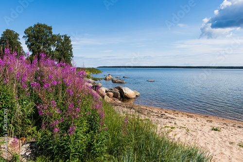 Cuadros en Lienzo Baltic coast; Lahemaa National Park; Estonia