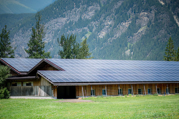 The roof of the dairy farm is completely covered by solar panels.