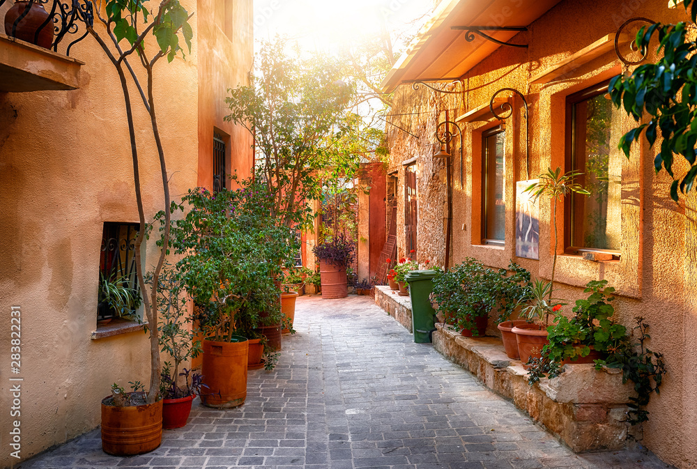 Traditional mediterranean street with plenty of plants - obrazy, fototapety, plakaty 