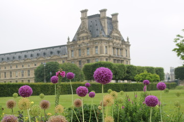 Wall Mural - castle in the garden