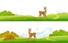 Vector Drawing Of Autumn Forest Banners With A Cute Young Deer