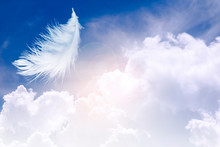 Feather Abstract Background, White Feather Floating In The Sky And Cloud With In Concept On Heaven.