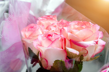 A bouquet of pink roses close-up