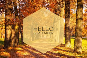 Hello September banner. New month. Greeting card. Golden autumn. The text in the photo. Trees in the park. City Park. Autumn Park