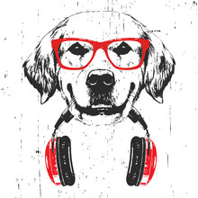 Portrait Of Golden Retriever With Glasses And Headphones. Hand-drawn Illustration. T-shirt Design. Vector