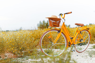 Travel concept. Photo of yellow bicylce, in a colorful field with yellow flowers,