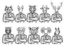 Animal Heads Businessman Sketch Engraving Vector Illustration. Scratch Board Style Imitation. Black And White Hand Drawn Image.