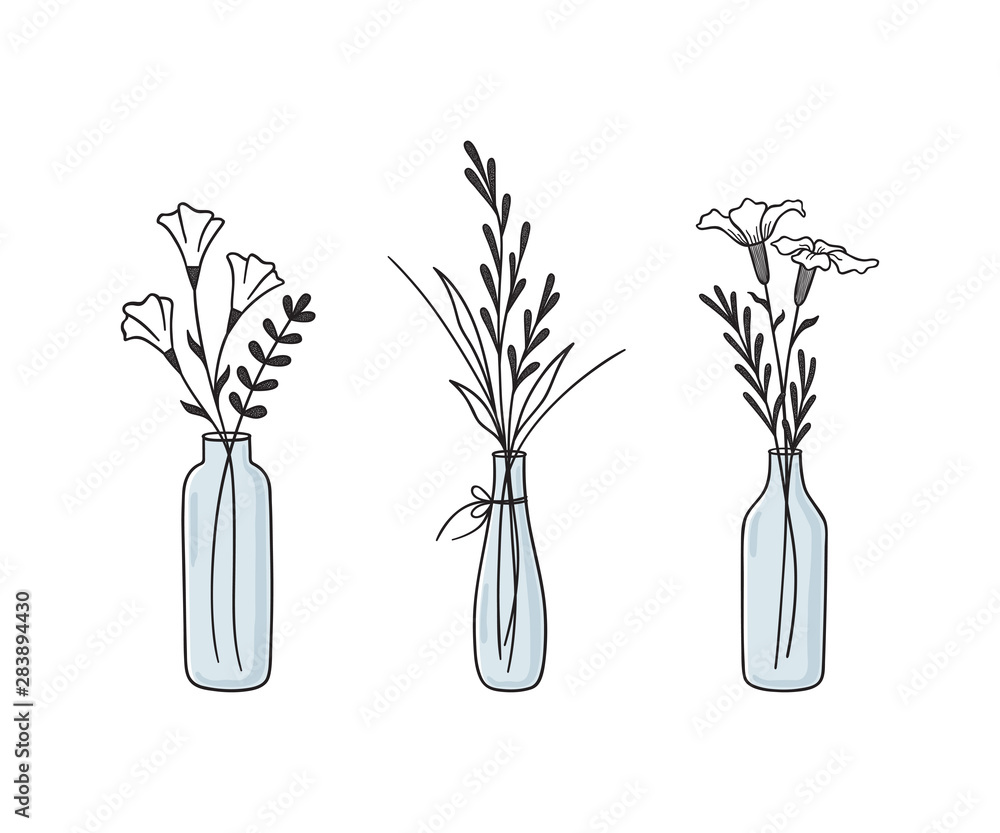 Hand drawn floral compositions in vases and bottles. Abstract wildflowers,  grasses and twigs Stock Vector | Adobe Stock, image size:1000x833