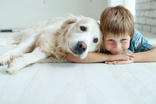 A Child With A Dog. Little Boy With A Dog At Home. 