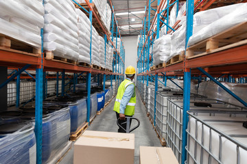 Wall Mural - Male staff using pallet jack in warehouse