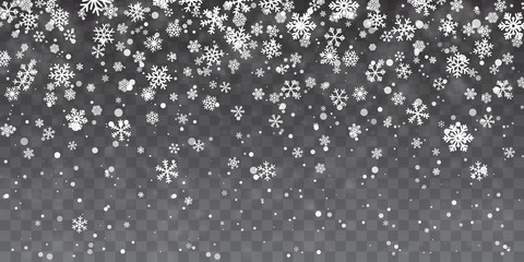 Wall Mural - christmas snow. heavy snowfall. falling snowflakes on transparent background. white snowflakes flyin