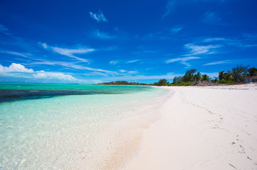 Wall Mural - Perfect white beach in the Caribbean island