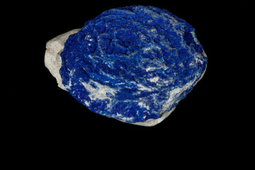 Macro mineral stone Azurite in siltstone against black background