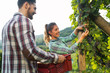 © NDABCREATIVITY - Portrait of happy people spending time in vineyard